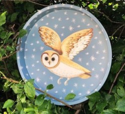 DD2971 - Owl Deep Tray - Blue - Elite